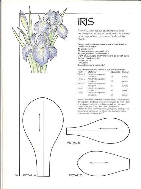 Iris 02 Jewelry Stencils, Dollhouse Greenhouse, Bride Basket, Flower Notes, Felt Flower Template, Flower Templates Printable, Săpunuri Handmade, Paper Flower Patterns, Wafer Paper Flowers