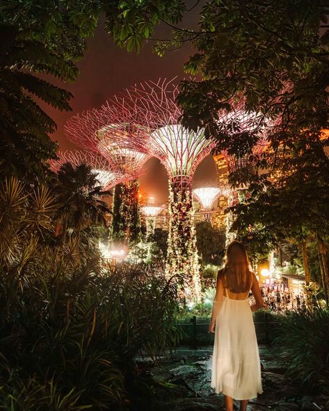 72 Hours in Singapore 📸✨🇸🇬 From Sky-high Gardens to Vibrant Street Scenes, Captured Through Our Lens ✌️ - #singapore @visit_singapore #VisitSingapore #passionmadepossible #MadeInSingapore Singapore Wedding, Visit Singapore, Sky Garden, 72 Hours, Street Scenes, Sky High, Wedding Inspo, Singapore, Benefits