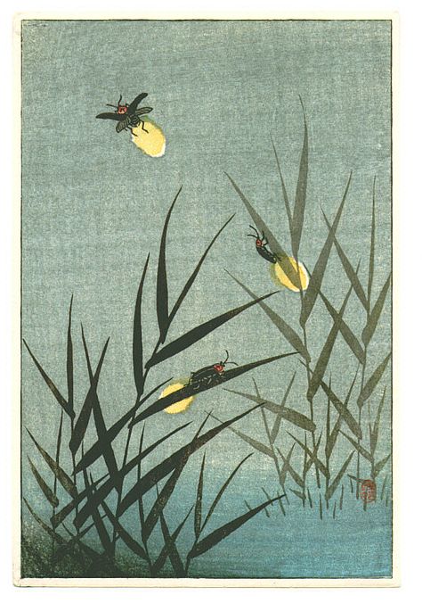 Woodblock print by Ohara Koson. Faint Glow of fireflies lights up the reeds on a dark river side.  #artelino #fireflies #kosonohara #oharakoson #shinhanga #kachoe #kachoga Firefly Drawing, Firefly Photography, Firefly Painting, Firefly Tattoo, Fire Flies, Firefly Art, Ohara Koson, Birds And Flowers, Sumi E