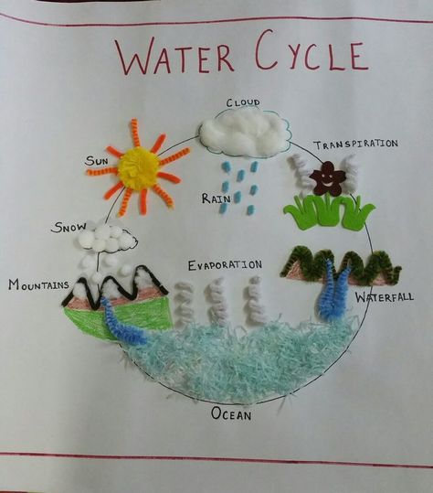 Water Cycle Project, خريطة ذهنية, The Water Cycle, Experiments Kids, Science Crafts, Science Projects For Kids, Preschool Art Activities, Water Cycle, Science Project