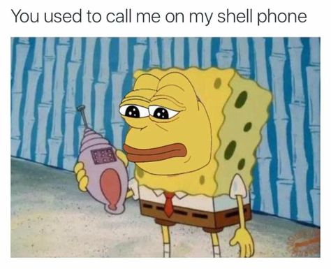 You used to call me on my shell phone- hotline bling Drake Song Quotes, Joke Of The Week, Funny Spongebob Memes, Hilarious Tweets, Spongebob Memes, Funny Puns, Man Humor, Videos Funny, Funny Cute