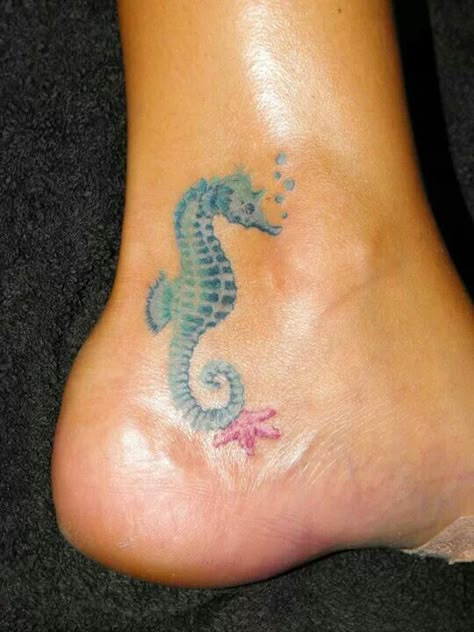 Seahorse And Starfish Tattoo, Turtle And Starfish Tattoo, Little Starfish Tattoo, Small Seahorse Tattoo, Seahorse Tattoo Design, Seahorse Tattoos, Nature Tattoo Ideas, Beachy Tattoos, Starfish Tattoo