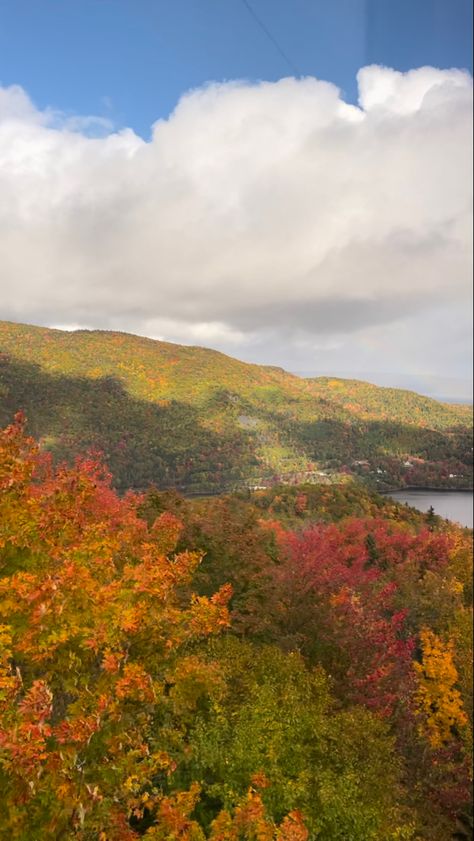 Fall inspo, autumn aesthetic, cape breton, nova scotia, travel, autumn Nova Scotia Aesthetic, Nova Scotia Travel, Cape Breton Nova Scotia, Travel Autumn, Cabot Trail, Favourite Season, Cape Breton, Explore Canada, Fall Inspo