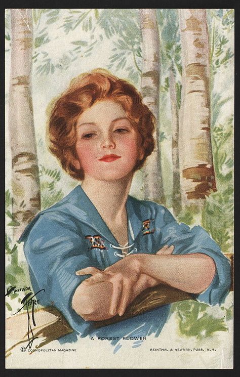 “A Forest Flower” Rare R&N No. 972 Postcard Signed Harrison Fisher Picture Of A Woman, Charles Dana Gibson, Harrison Fisher, Dana Gibson, Flapper Art, Woman Artist, Cosmopolitan Magazine, Gibson Girl, Postcards For Sale