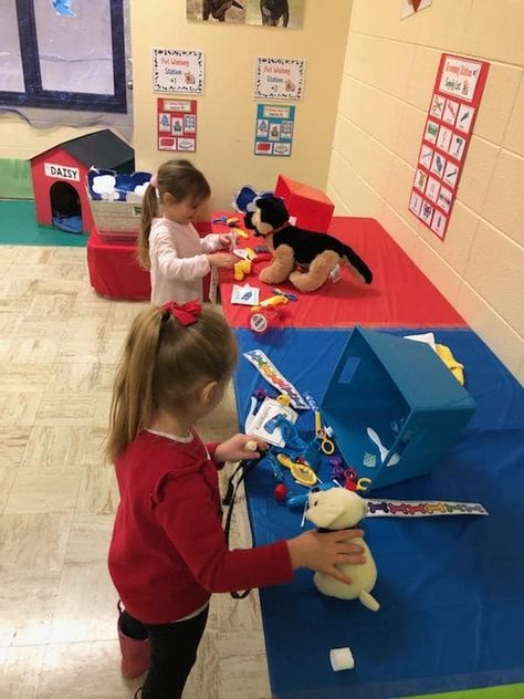 Kids Vet Clinic, Vet Clinic Ideas, Vet Clinic Dramatic Play, Dramatic Play Toddlers, Clinic Dramatic Play, Veterinarian School, Pet Study, Community Helper Lesson, Preschool Social Studies