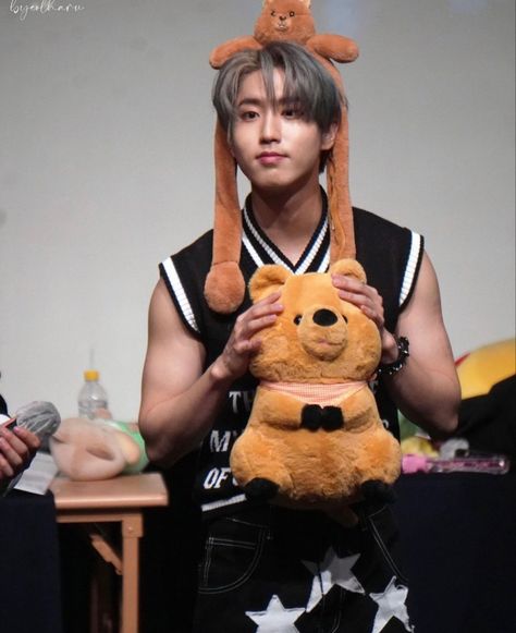 Han Arms, Han And Quokka, Quokka Plush, Quokka Drawing, Quokka Animal, Cute Quokka, Quokka Baby, Han Quokka, Hello Kitty Characters