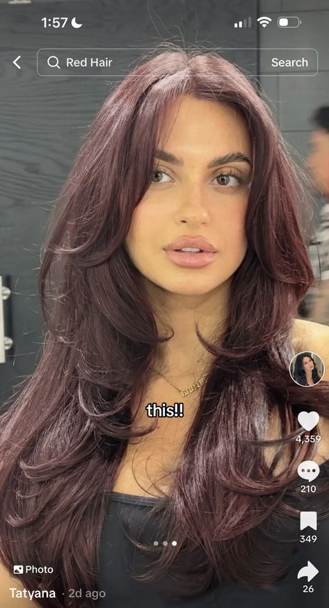 Raspberry Truffle Hair Color, Truffle Raspberry Hair, Outfits For Cherry Red Hair, Burgandy Hair On Brown Girl, Haircolor Ideas For Brown Skin Tone, Cherry Red Dark Hair, Long Cherry Red Hair, Dark Red Brunette Hair, Two Front Strands Of Hair Dyed