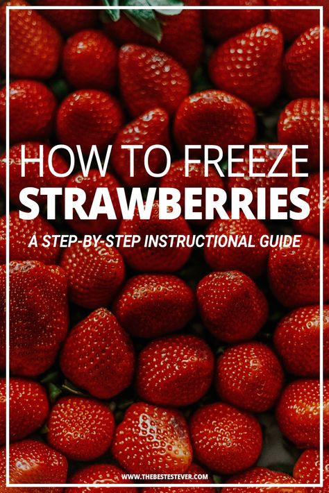 How to Freeze Strawberries: An Instructional Guide Frozen Strawberry Recipes, Freeze Strawberries, Freezing Strawberries, Budget Dinners, Making Smoothies, Strawberry Kitchen, Freezer Cooking, Fresh Strawberries, Frozen Fruit