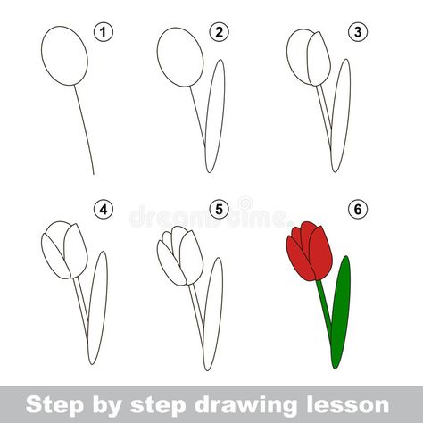 Drawing tutorial. How to draw a Tulip royalty free illustration Hur Man Ritar Blommor, Trin For Trin Tegning, Ako Kresliť, Tulip Drawing, Drawing Instructions, Flower Drawing Tutorials, Drawing Tutorials For Kids, Easy Drawings For Kids, Step Drawing