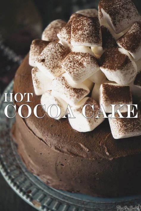 Hot Cocoa Cake - Pass The Sushi Hot Cocoa Cake Recipe, Cocoa Cake Recipe, Hot Cocoa Cake, Cocoa Cake, Baking Cakes, Cakes Recipes, Sugar Cake, Chocolate Dessert, Chocolate Frosting