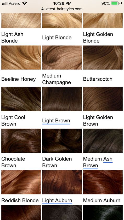 Brown Hair With Gold Undertones, Brown Hair Colors Chestnut, Chocolate Brown Hair Men, Chest Nut Brown Hair, Dark Bronze Hair, Light Brown With Red Undertones, Chestnut Hair Color Dark, Brown Hair Palette, Cocoa Hair Colour