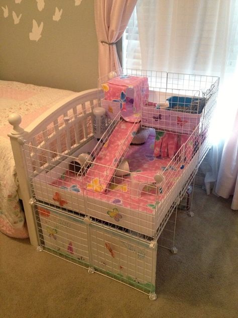 Ginuea Pigs Cage Diy, Genie Pig Cage Ideas, Gunia Pig Cage Ideas, Pink Guinea Pig Cage, Gineau Pig Cage Ideas, Ginny Pigs Cages, C And C Guinea Pig Cage, Guinea Pig Enclosure Ideas, Guniea Pig Indoor Cage