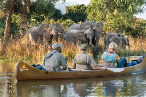 5 Reasons Zambia is perfect for active travellers - Africa Geographic  #AfricanSafari #SpecialPlaces #SafariActive Zambia Safari, Tree Camping, Jungle Life, Adventure Aesthetic, Safari Adventure, Safari Lodge, Nature Preserve, Game Reserve, Canoe And Kayak