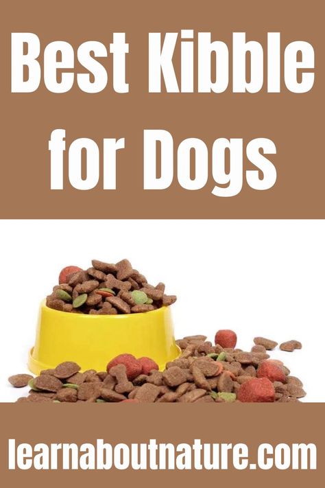 Best Kibble for Dogs Best Kibble For Dogs, Nature Website, Foods Dogs Can Eat, Dog Food Allergies, Land Animals, Dog Wellness, Dog Diy, Animal Food, Toy Dogs