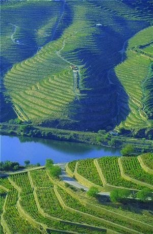 SECRETS ITINERARY: TOP PLACES IN THE DOURO VALLEY | Read more on this at: secretsformportugal.com | #secretsfromportugal #lifestyle #portugallovers Places In Portugal, Magic Places, Douro Valley, Visit Portugal, River Bank, Portugal Travel, Spain And Portugal, Porto Portugal, Algarve