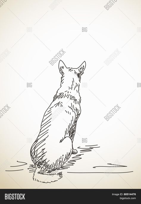 Dog Sitting Back View, Dog Sitting Drawing, Sitting Back View, Back View Drawing, Sitting Sketch, View Drawing, Sitting Dog, Reference Board, Dog Sketch