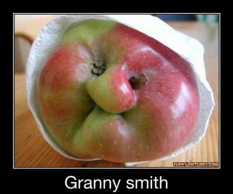 "Ye ain't makin' no galldern pie outta me!"  Classic Granny Smith Apple- {Funny Pic} by alexkaris, via Flickr Things With Faces, Funny Vegetables, Funny Fruit, Strange Places, Granny Smith Apples, Funny Bunnies, Granny Smith, Fruit And Veg, Food Humor