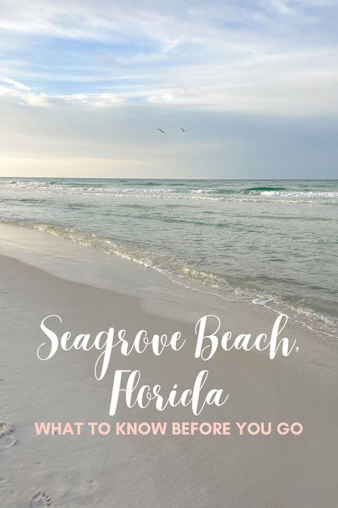 seagrove beach, Fl Seagrove Florida, Seacrest Beach Florida, Seagrove Beach Florida, Seacrest Beach, Fl Beaches, 30a Florida, Best Beaches To Visit, 30a Beach, Seagrove Beach