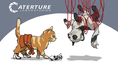 Portal Memes, Portal Wheatley, Companion Cube, Portal Art, Game House, Aperture Science, Portal Game, Portal 2, Kitten Photos