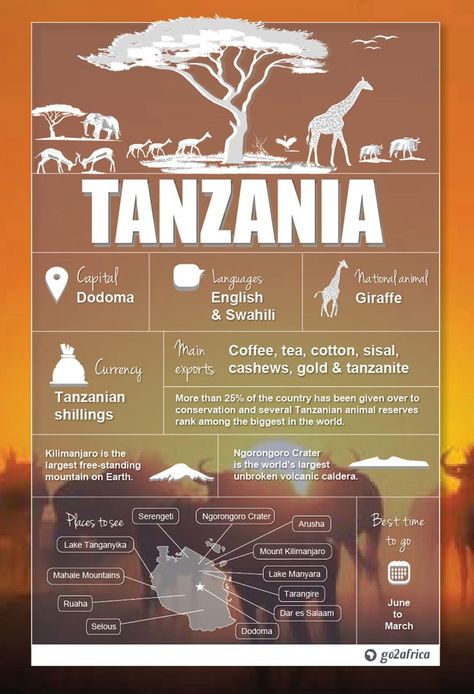 From the Wildebeest Migration to predators and primates, a #Tanzania #safari delivers sensational game viewing – but there are lazy beach holidays too. Plan it all with us. #Africa #travel Trip Necessities, Smart Luggage, Women Luggage, Country Information, Safari Trip, Best Travel Luggage, Africa Travel Guide, Tanzania Travel, Travel Infographic