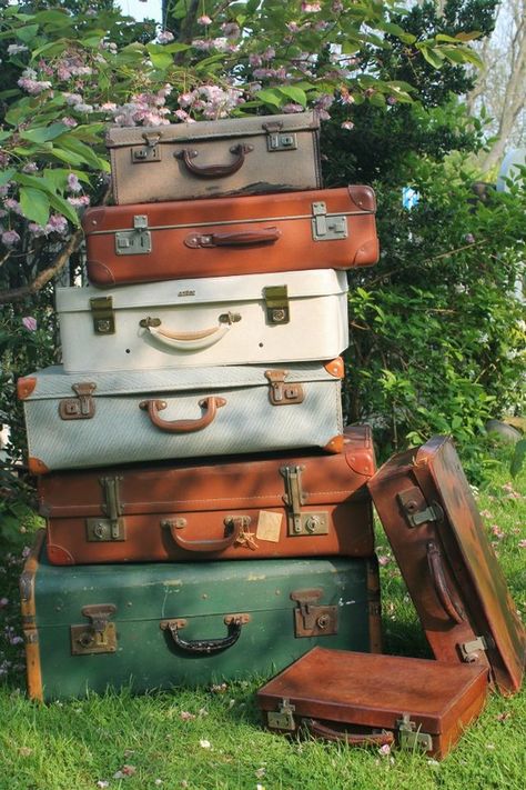 ALL DOLLYS HIRED ITEMS ARE TRANSPORTED IN VINTAGE SUITCASES FOR YOU TO USE IN DISPLAYS ETC Great Minds Think Alike, Old Suitcases, Vintage Trunks, Vintage Suitcases, Vintage Pop, Vintage Suitcase, Vintage Luggage, Cool Books, Vintage Storage