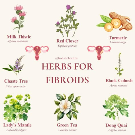 Fibroid Herbs, Fibroid Herbal Tea, Agnus Castus, Herbal Education, Herbal Remedies Recipes, Womb Healing, Medical Herbs, Magic Herbs, Magical Herbs