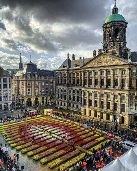 Spiritual Architecture, Dutch Tulips, Flower Season, Dutch Tulip, Dam Square, Wonderful Picture, Dutch Design, Instagram Account, Then And Now