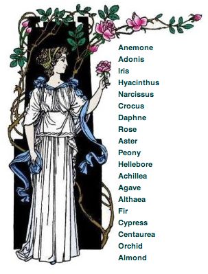 Flowers in Greek Mythology back then were used for food and herbs Greek Flowers, Greek Name, Greek Names, Ancient Greek Mythology, Cultural Beliefs, The Language Of Flowers, Greek Gods And Goddesses, Greek Language, Greek And Roman Mythology