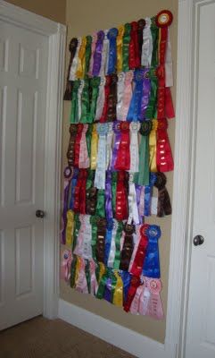 Have to remember this. I had used picture wire along the top of my entire room growing up. When I ran out of space, this would have helped! Horse Ribbons Display Ideas, Horse Ribbon Display, Show Ribbon Display, Horse Show Mom, Horse Bedroom, Horse Show Ribbons, Horse Ribbons, Horse Room, Trophy Display