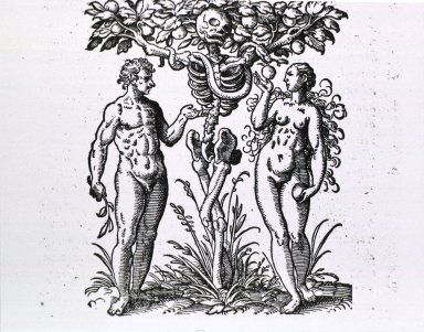 ... Eve Tattoo, Tree Of Knowledge, Medieval Drawings, Esoteric Art, Occult Art, Antique Illustration, The Secret History, Adam And Eve, Medieval Art