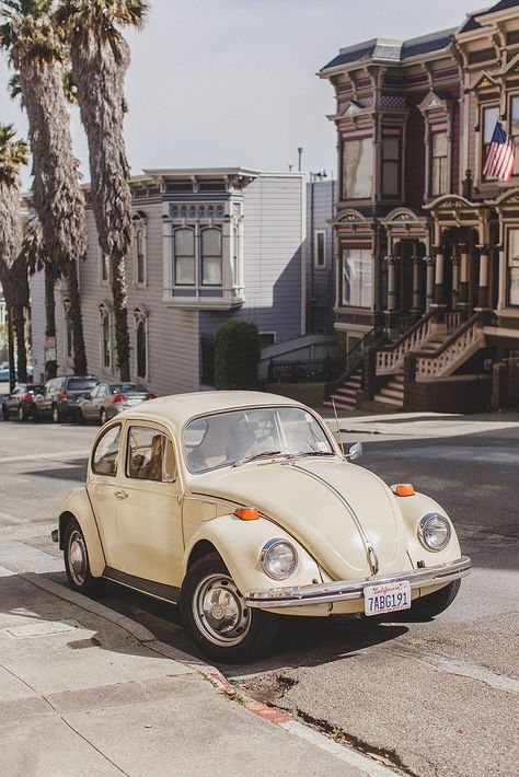 San Francisco Old Volkswagen, متحف فني, Van Vw, Vw Sedan, Istoria Artei, Old Vintage Cars, Vw Vintage, Fotografi Vintage, Classy Cars