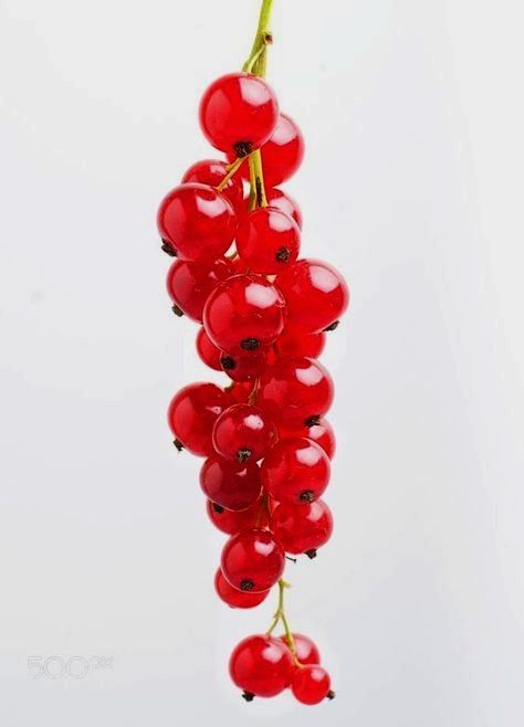 Currant Berries, Gooseberry Patch, Fruit Fresh, Red Currant, Art Academy, Healthy Fruits, Heart Sign, Fruit And Veg, Dried Fruit