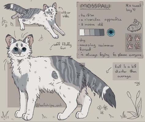 Warrior Cats Ref Sheet, Beast Drawing, Wcue Inspiration, Cat Fanart, Cat Poses, Cat Drawing Tutorial, Ref Sheet, Warrior Cats Fan Art, Warrior Cat Drawings