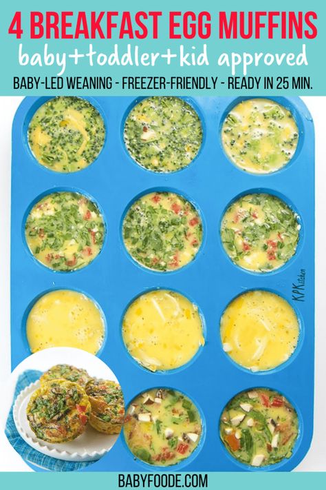 These healthy Breakfast Egg Muffins come in four different tasty combinations and are filled with veggies, eggs, cheese and even bacon! A filling and nutritious breakfast for your baby, toddler, and kids that are perfect for on-the-go eating. They can even be frozen and reheated for a quick breakfast. Great for Baby-Led Weaning! #egg #baby #toddler #kid #breakfast Recipes For 12 Month Old Meal Ideas, Weaning Breakfast Ideas, Blw Breakfast Muffins, Blw Egg Muffins, Egg Muffins For Toddlers, Veggie Muffins For Baby, Toddler Egg Muffins, Healthy Baby Led Weaning Meals, Toddler Egg Recipes