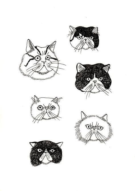 Persian Cats Cat Face Tattoo Design, Fuzzy Cat Tattoo, Persian Cat Tattoo Design, Persian Cat Illustration, Tattoo Persian, Persian Drawing, Persian Cat Tattoo, Cat Face Tattoo, Persian Cat Drawing