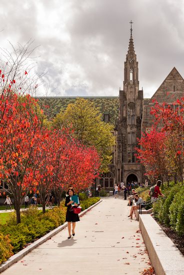 STEPHEN STIMSON ASSOCIATES | BOSTON COLLEGE Urban Landscaping, Boston Aesthetic, College Usa, City Gardens, College Vision Board, Usa University, Aesthetic Landscape, College Aesthetic, Boston College