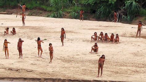 Images released of uncontacted Amazon rainforest tribe in Peru seen near logging site — ABC News Rainforest Tribes, Giant African Land Snails, Ventura County California, Paris Tourism, Peruvian Amazon, Western Lowland Gorilla, Columbus Zoo, Watch Photo, Human Species