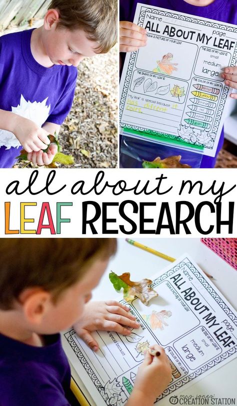 Simple science experiments are a great way to help little learners explore science in and out of the classroom. This leaf science activity allows your students to record and collect data. Collect fall leaves and grab this free printable to help you along with this leaf research. It will make a fun fall science experiment. #leafresearch #fallleaves #leaves #fall #science #experiment #mrsjonescreationstation Leaf Science, Simple Science Experiments, Fall Science, Scientific Investigation, Simple Science, Kindergarten Curriculum, Creation Station, Science Activity, Easy Science Experiments