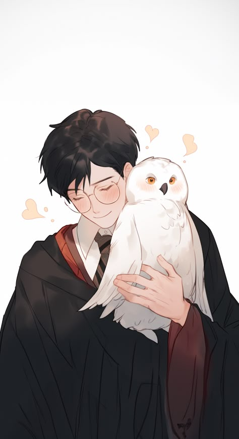 Harry And Hedwig Fan Art, Harry Potter Hedwig Wallpaper, Harry Potter Anime Wallpaper, Harry Potter Hedwig Drawings, Hedwig Wallpaper, Harry Potter Fanart Harry Fan Art, Hedwig Drawing, Harry Potter Owl Drawing, Harry Potter Dibujos