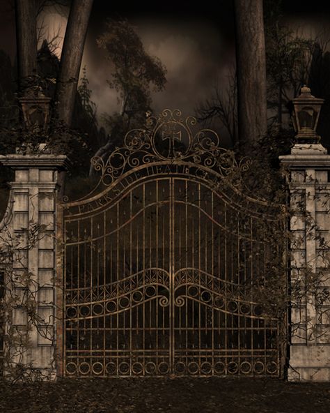 Cemetery Gates 2 by BlackDragynStock Cemetery Gates, Gate Images, Inspirational Backgrounds, Creepy Houses, Cemetery Headstones, Old Cemeteries, Iron Gate, Dark Gothic, Red Door