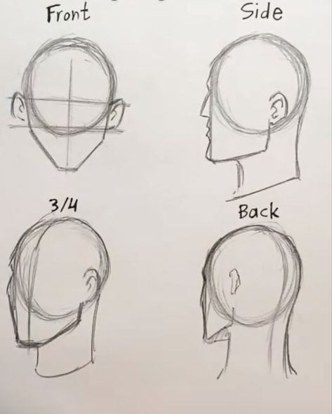 Facial Guidelines Drawing, Drawing Facial Structure, How To Draw Head Shapes, Anime Face Structure, Facial Proportions Drawing, Head Shapes Drawing, Face Structure Drawing, Draw Heads, Face Shapes Guide