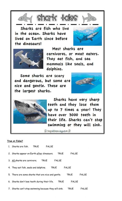 Reading comprehension interactive worksheet for 3rd. You can do the exercises online or download the worksheet as pdf. Shark Worksheets Kindergarten, Ocean Life Worksheets, Shark Worksheet, Highlights For Kids, Shark Facts For Kids, Recycled Animals, Fun Facts About Sharks, Ocean Reading, Dolphin Facts