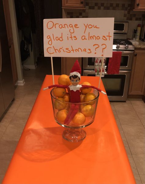 Elf On The Shelf Oranges, Donut Worry Im Back Elf, Christmas Eve Eve Elf Ideas, Elf Om Shelf Ideas, Elf Gifts, Elf 2023, Elf Shenanigans, Kindness Elves, Elf Ideas Easy