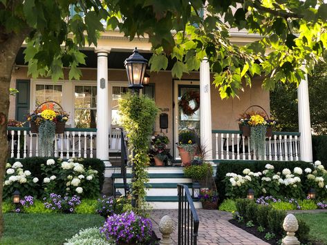 Cottage Garden Inspiration, Baby Gem Boxwood, Gem Boxwood, Home Decor Tips And Tricks, Caddy Shack, Southern Living Plant Collection, Country Sampler Magazine, Southern Living Plants, Gardening Gear