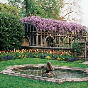 Wisteria Backdrop, Dumbarton Oaks Garden, Dumbarton Oaks, Spring Gardens, Purple Wisteria, Dc Travel, Yellow Tulips, Garden Pictures, Love Garden