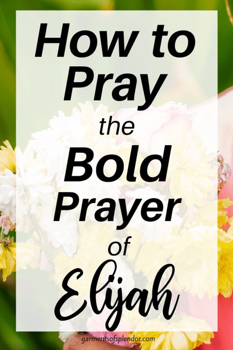 Pray Like Elijah, Confidence Prayer, Warroom Prayers, Pray Boldly, Elijah Bible, Scripture Bookmarks, Prayer Challenge, Prayer Strategies, Warfare Prayers