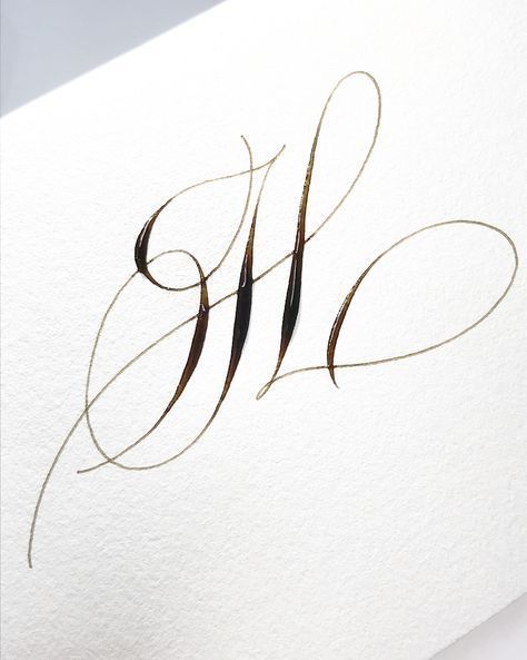 Ornamental Calligraphy, Calligraphy H, Modern Caligraphy, Flourish Calligraphy, Calligraphy Doodles, Calligraphy Video, Pointed Pen Calligraphy, Calligraphy Tutorial, Copperplate Calligraphy