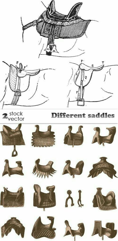 Medieval Horse, Horse Anatomy, Horse Costumes, Horse Armor, Horse Equipment, Horse Gear, Horse Drawings, Horse Blankets, Horse Saddles