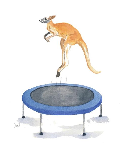 Kangaroo Watercolor Original Painting - Trampoline, Animal Art, 8x10. $48.00, via Etsy. Watercolor Sports Paintings, Bounce Drawing Ideas, Trampoline Art, Thought Painting, Kangaroo Drawing, Ink Tober, Classroom Slides, Summer Australia, Funny Sketches