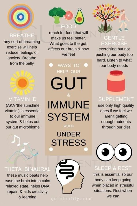 Pin on Immune System #Listen_Carefully #Natural_Colon_Cleanse #Parts_Of_The_Body #Gut_Microbiome Enteric Nervous System, Sharp Mind, Doterra Business, Vitamin D Supplement, Sugar Diet, Blood Sugar Diet, Natural Colon Cleanse, Gut Microbiota, Mental Energy